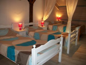 Cugnet Marie Bernadette – Ecureuil