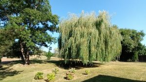 L&rsquo;Ecrin de Verdure