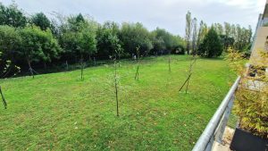 52756410  – Appartement – 3 pièces à BAYONNE