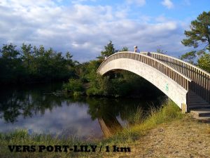Appartement bien situé, calme et reposant