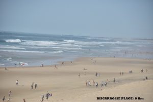 Appartement bien situé, calme et reposant