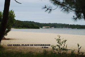 Appartement bien situé, calme et reposant