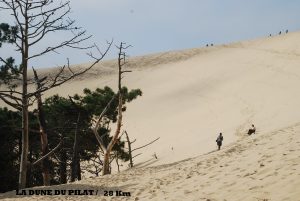 Appartement bien situé, calme et reposant