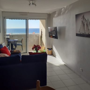 Les Goelands de Lasplanes