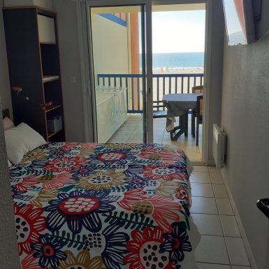 Les Goelands de Lasplanes