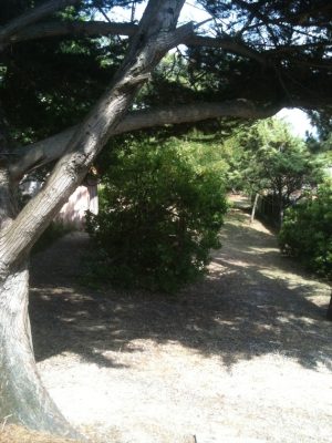 Arnaudin Francis – Villa Martha – Côté Nord