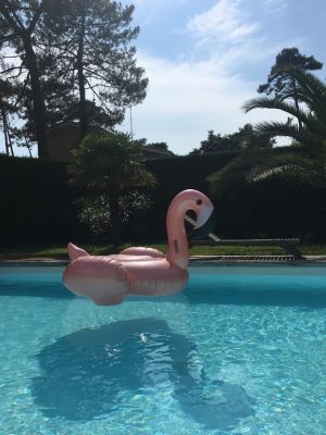 Location Moliets – Villas Garcia Océan 17 – Moliets et Maâ – V 815