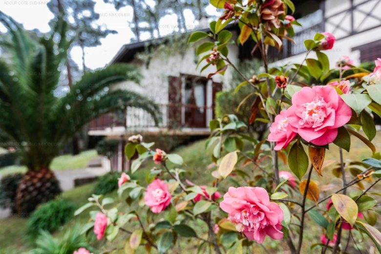 Villa « Albi » – Adour Côte Sud Immobilier