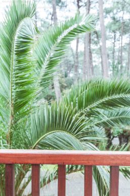 Villa « Albi » – Adour Côte Sud Immobilier