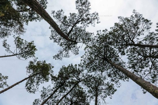 Villa « Albi » – Adour Côte Sud Immobilier