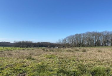 51854917  – Terrain à OZOURT