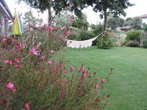 Castaing Brigitte et Jean Denis