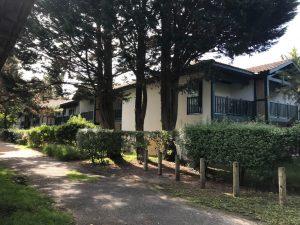 Appartement Les Pins Océan