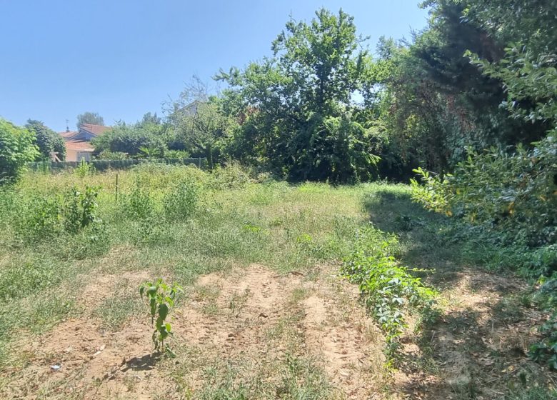 52480235  – Terrain à MONT DE MARSAN