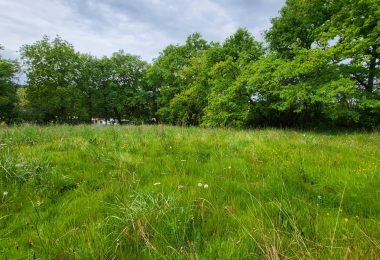 52173868  – Terrain à AUDIGNON