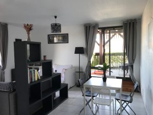 Le petit grillon d&rsquo;or