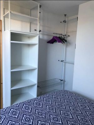 Le petit grillon d&rsquo;or