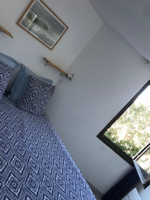 Le petit grillon d&rsquo;or