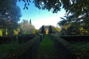 La petite bourdotte