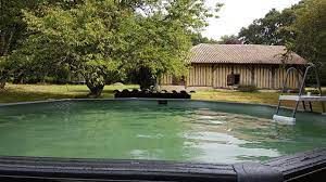 Airial du Grand Thin, Marc Hostein