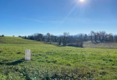 51782926  – Terrain à GAUJACQ