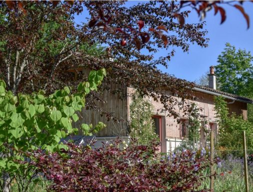 Les Hortensias à Petit Pontbiel