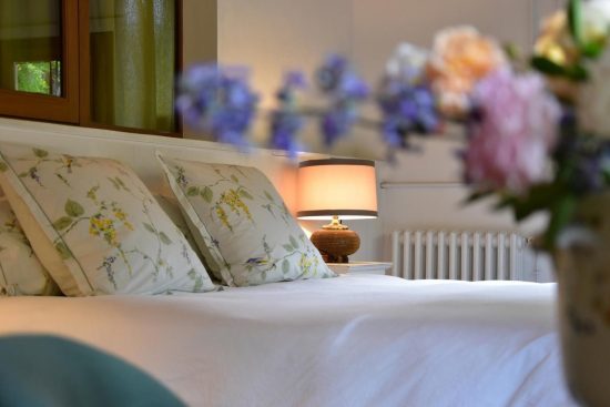 Les Hortensias à Petit Pontbiel