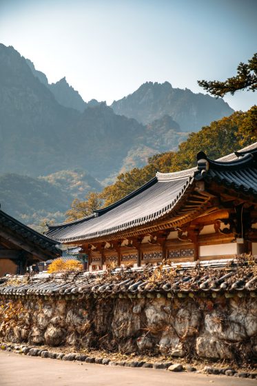 JOURNÉE « K WORLD »