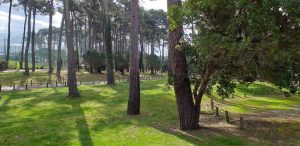 Appartement Aux Bons Souvenirs