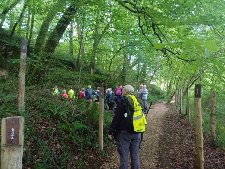 Visite du site archéologique des grottes du Pape – Randonnée