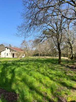 51900582  – Maison – 5 pièces à ST PAUL LES DAX