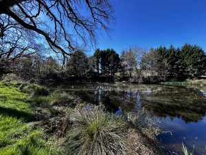 51905129  – Maison – 4 pièces à UCHACQ ET PARENTIS