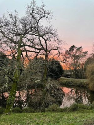 51905129  – Maison – 4 pièces à UCHACQ ET PARENTIS