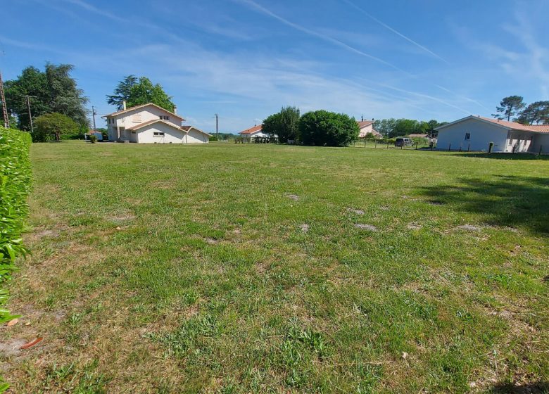 51670315  – Terrain à JOSSE