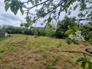 52505930  – Fond commerce à DAX