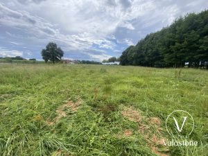 52685146  – Terrain à AUBAGNAN