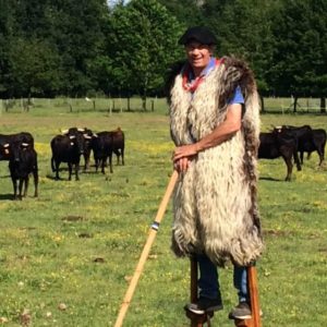 Ferrade et gascounejade à Buros