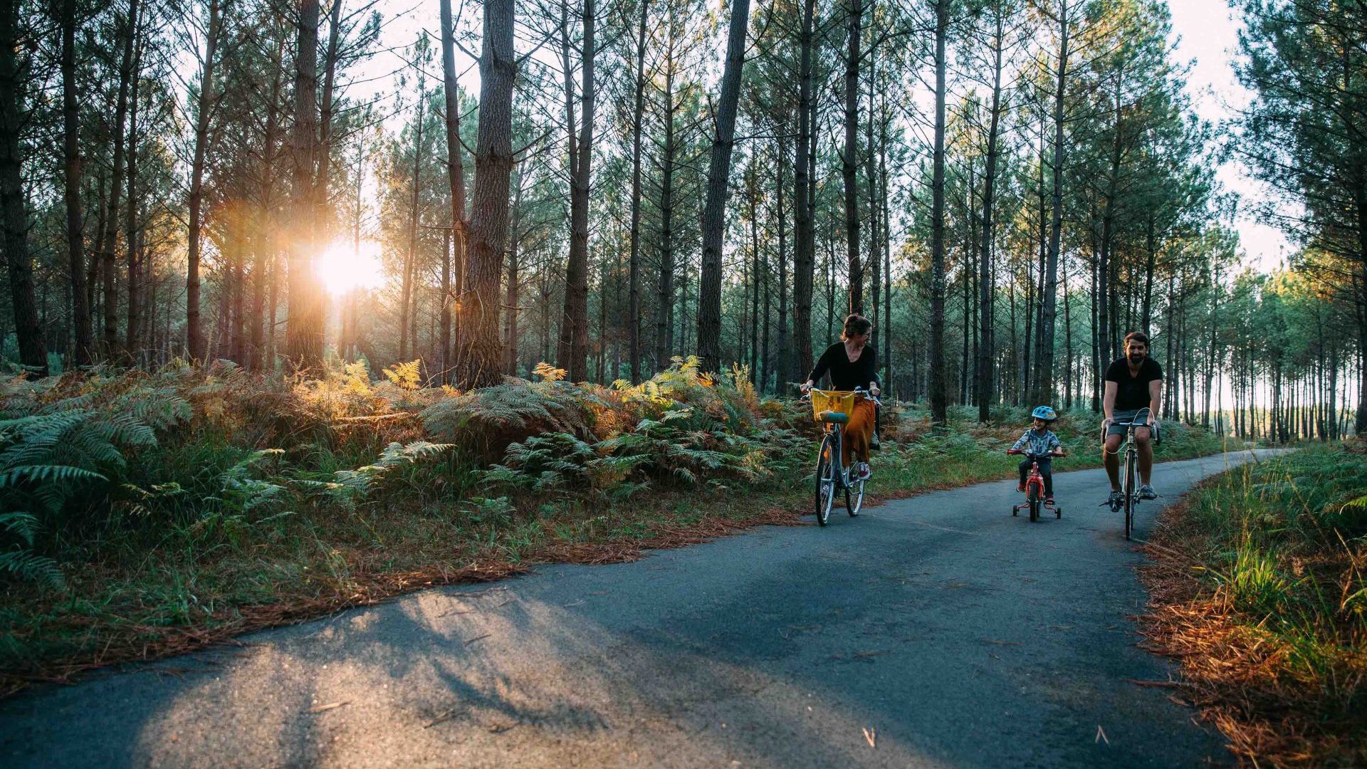 Balade en vélo dans la forêt landaise