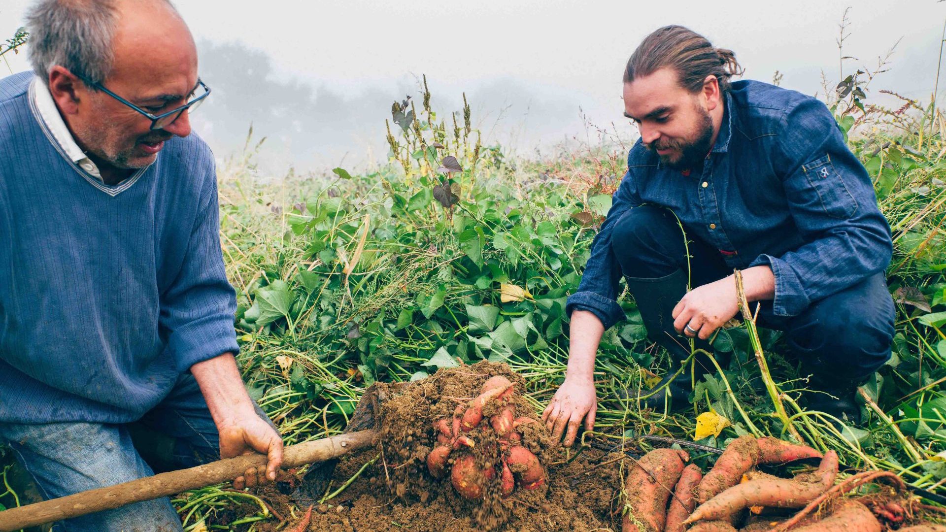 Le Chef David Jourdan ramasse des carottes avec un agriculteur landais