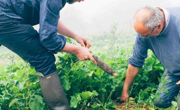 Aides agricoles dans les Landes : créer ou reprendre une exploitation en toute sérénité