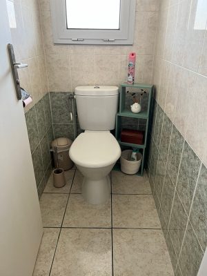 Les Albizias II n°17