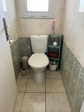 Les Albizias II n°17