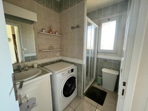 Les Albizias II n°17