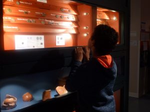 Journée Européenne de l&rsquo;Archéologie – Portes ouvertes