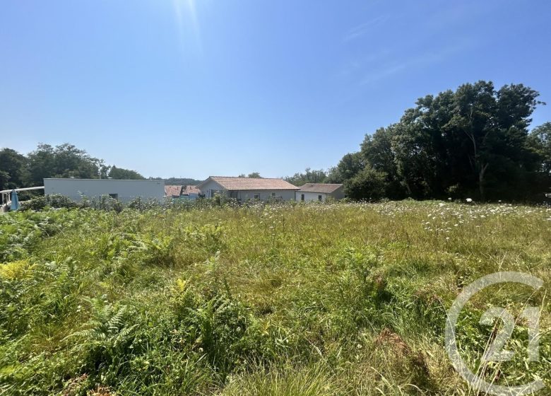 52659439  – Terrain à ONDRES