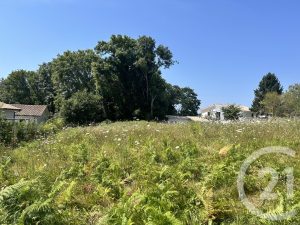 52659439  – Terrain à ONDRES