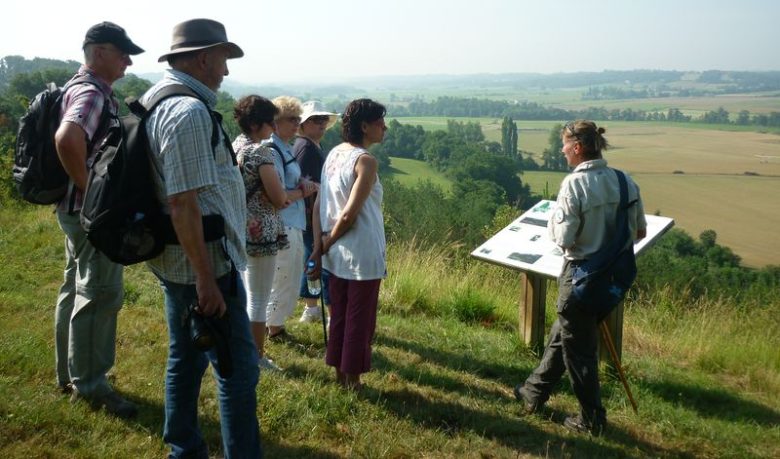 Découverte des Orchidées des coteaux du Moulin