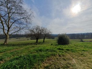 52904463  – Maison – 6 pièces à EUGENIE LES BAINS