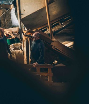 Témoignages d’entrepreneurs