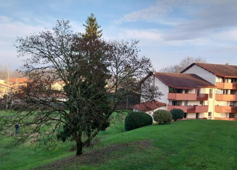 52826741  – Appartement – 3 pièces à DAX